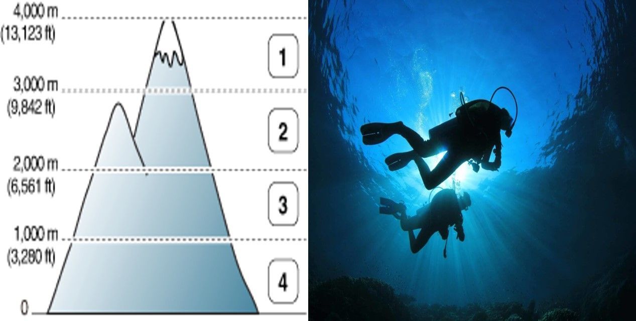 Efectos del entrenamiento de músculos respiratorios sobre el rendimiento en  hipo e hiperbaria - Fisiología del Ejercicio