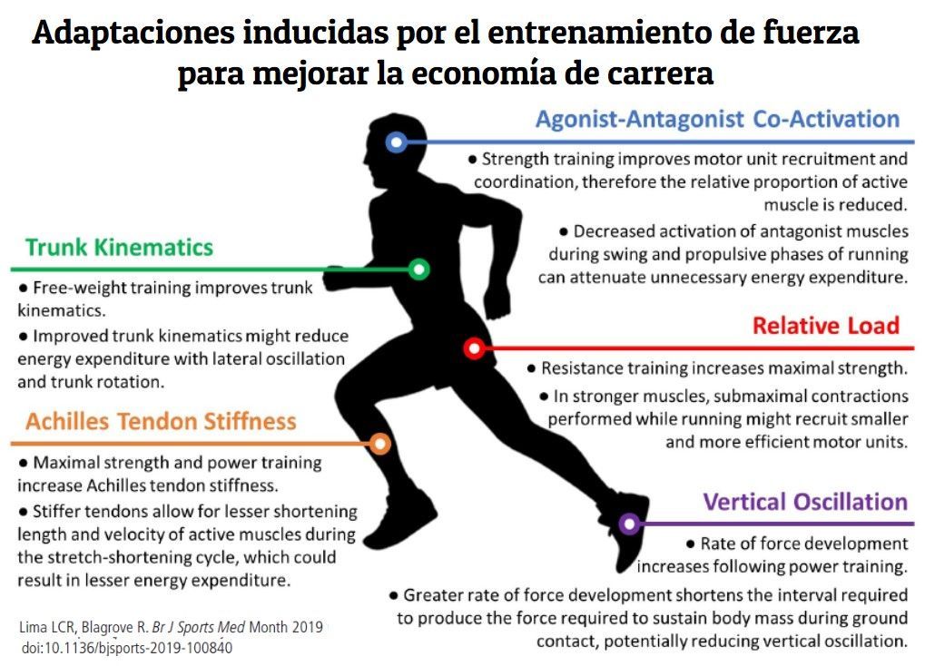 Adaptaciones al entrenamiento de fuerza para mejorar la