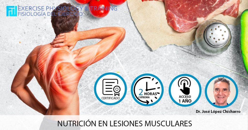 Nutrición en lesiones musculares: un enfoque práctico
