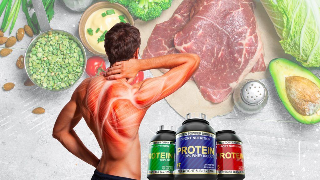 Nutrición-y-Suplementación-en-Lesiones-Musculares