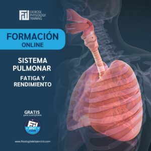 Sistema Pulmonar - Fatiga y Rendimiento