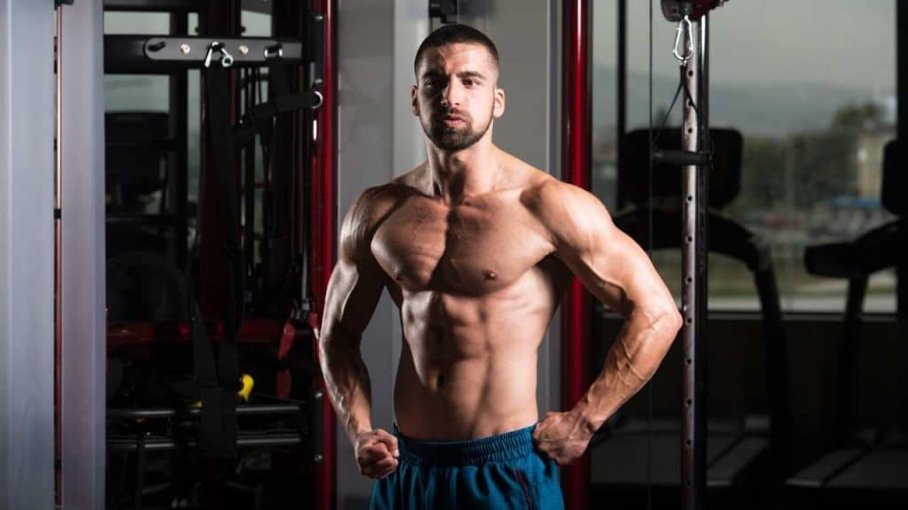 culturismo, músculo, fuerza