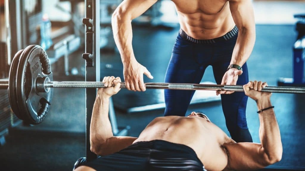 Curso de Entrenamiento de Fuerza