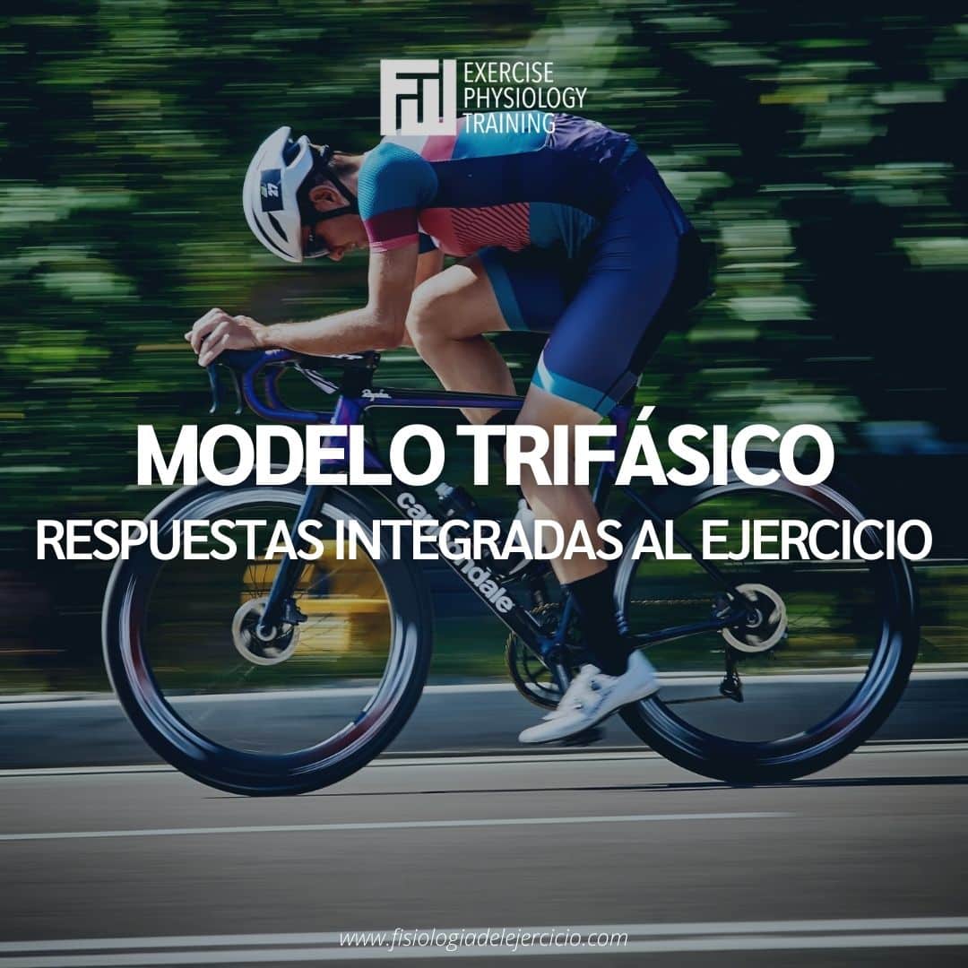 Modelo Trifásico – respuestas integradas al ejercicio