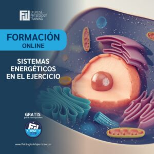Sistemas energéticos en el Ejercicio