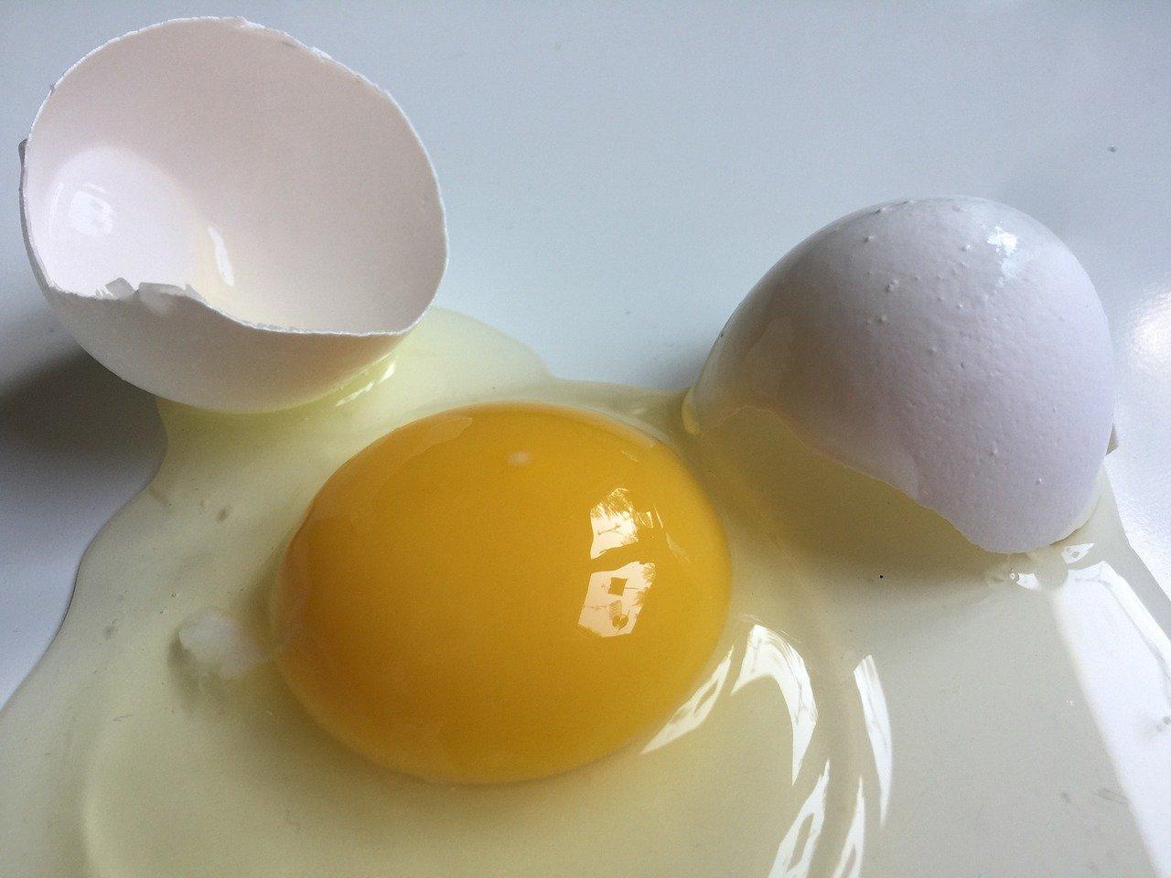 ¿Qué tiene más proteína el huevo crudo o cocido?