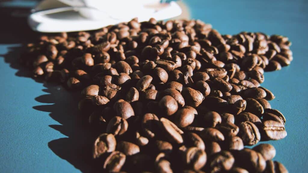Cafeina y rendimiento