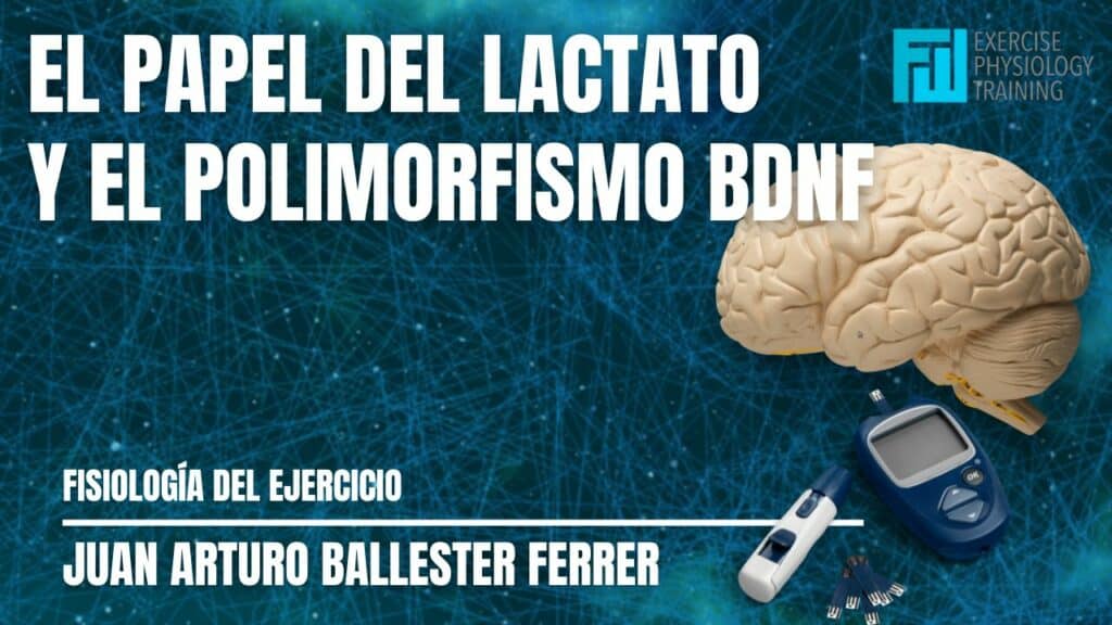 El Papel del Lactato y el Polimorfismo BDNF