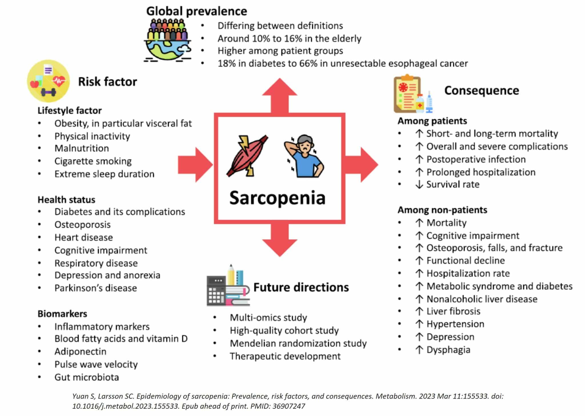 Sarcopenia Diagram