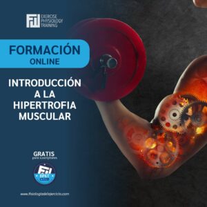 Introducción a la hipertrofia muscular