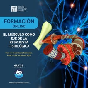 El músculo como eje de la respuesta fisiológica al ejercicio y de salud cardiometabólica