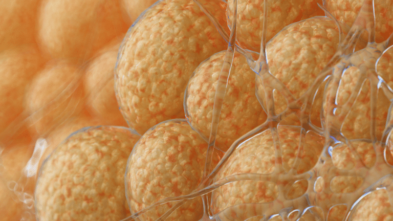 grasa en atletas y rendimiento