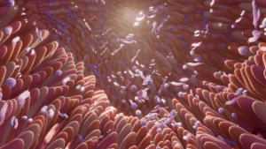 Microbiota intestinal y microbioma