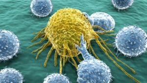 Blog - célula, cáncer, metabolismo
