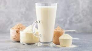 proteína whey vs vegetal