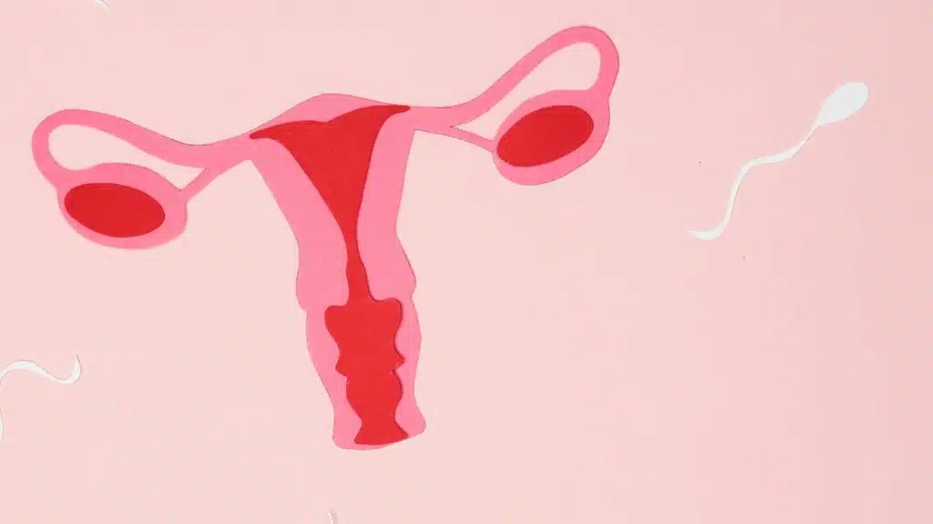 Ciclo menstrual y rendimiento