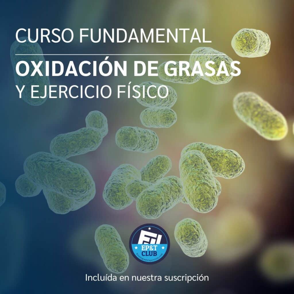 Curso fundamental - Oxidación de grasas