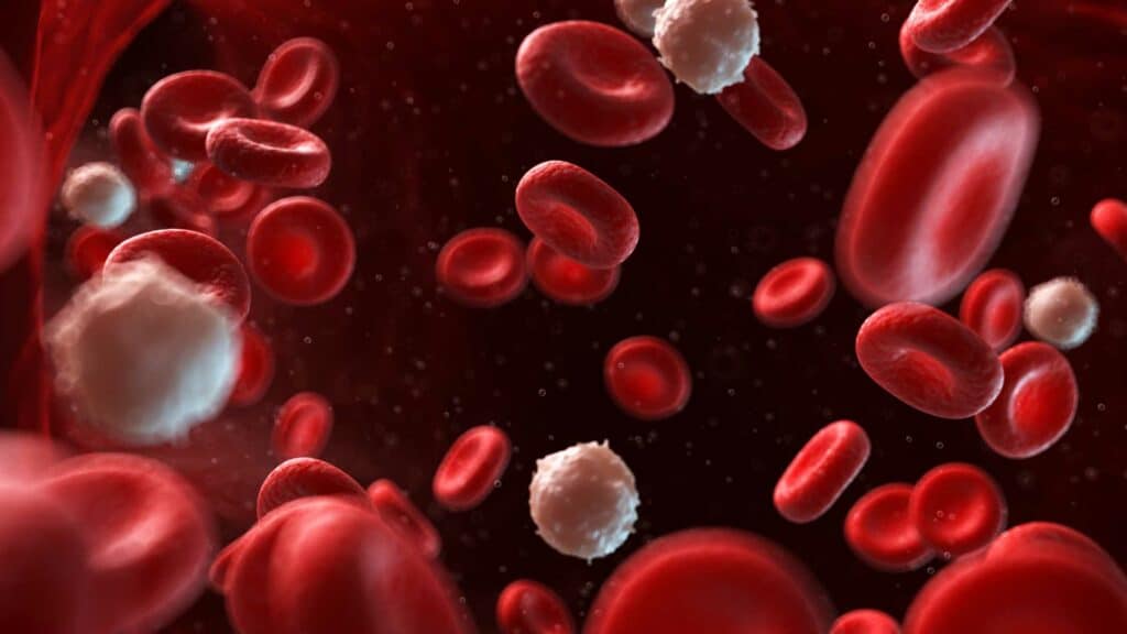 Restricción de flujo sanguíneo en adultos