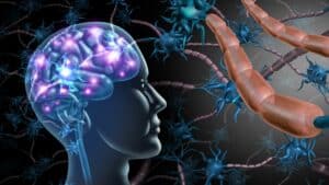 Entrenamiento cerebral y rendimiento