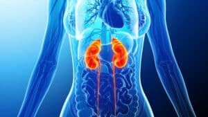 Función renal y ejercicio