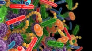 microbiota y ejercicio físico