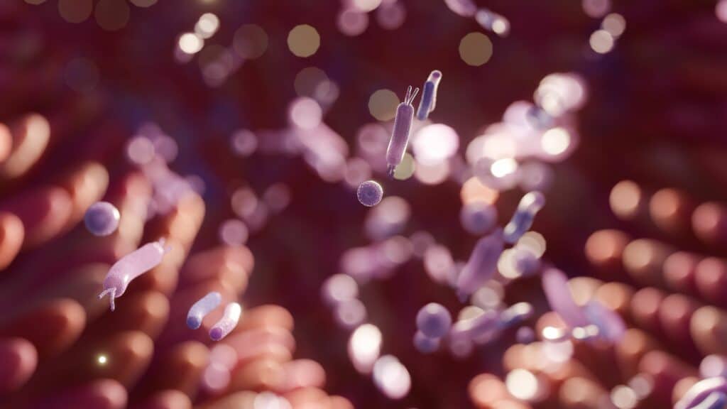 Microbiota intestinal