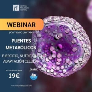 Puentes metabólicos: ejercicio, nutrición y adaptación celular