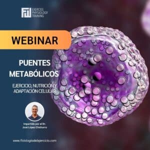 Puentes metabólicos: ejercicio, nutrición y adaptación celular